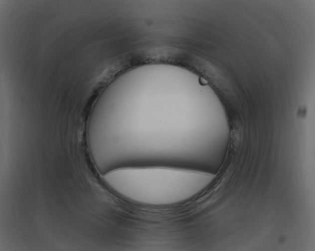 X0000096640458200802051001