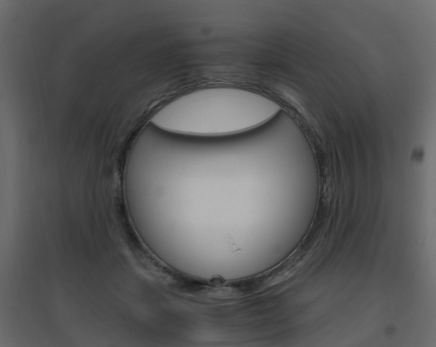 X0000096640459200802051001