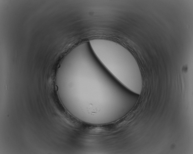 X0000096640460200802051001