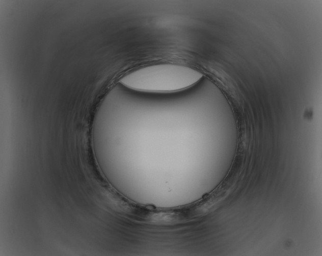 X0000096640461200802051001