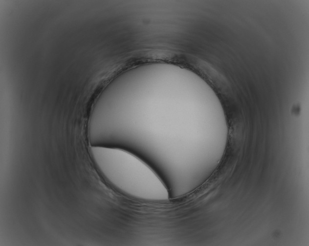 X0000096640462200802051001