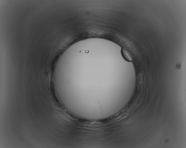 X0000096640463200802051001