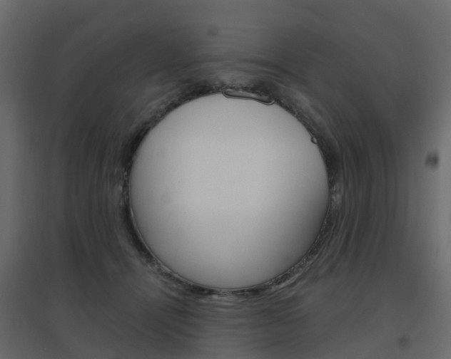X0000096640464200802051001