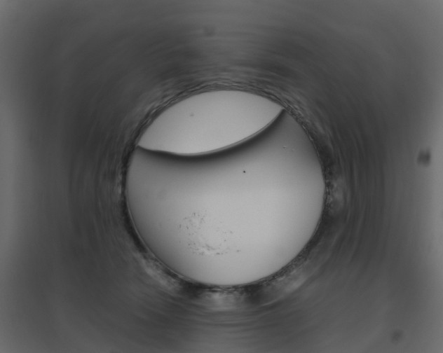 X0000096640466200802051001