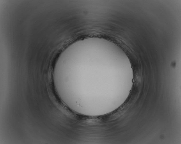X0000096640468200802051001