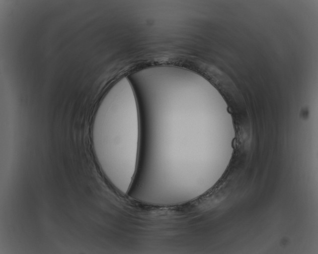 X0000096640470200802051002