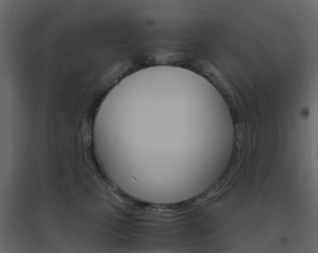 X0000096640471200802051002