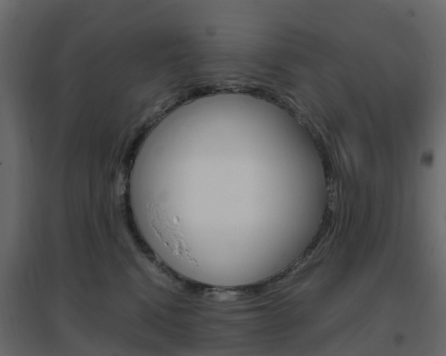 X0000096640472200802051002