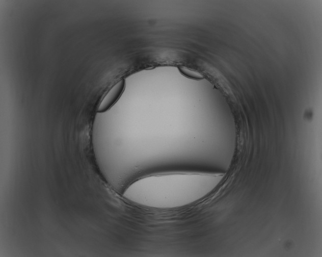 X0000096640473200802051002