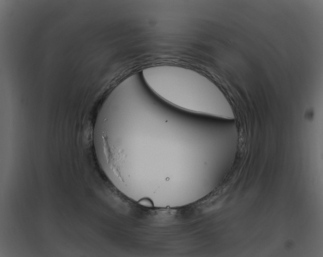 X0000096640474200802051002