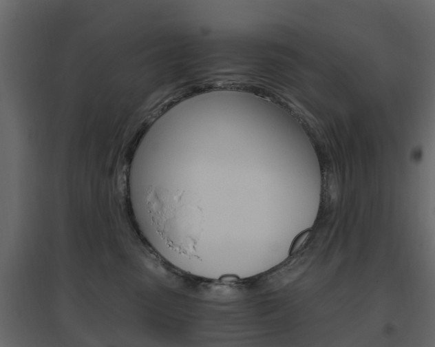 X0000096640475200802051002