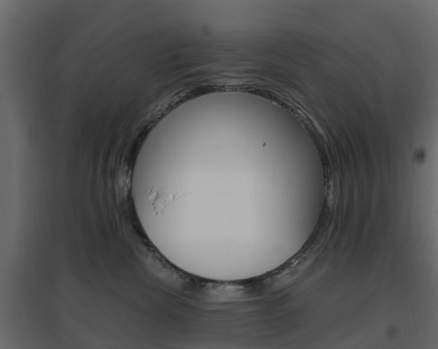 X0000096640476200802051002
