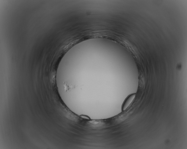 X0000096640477200802051002