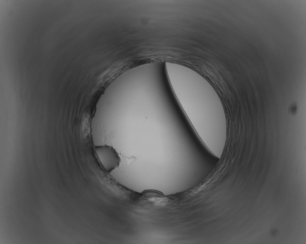 X0000096640478200802051002