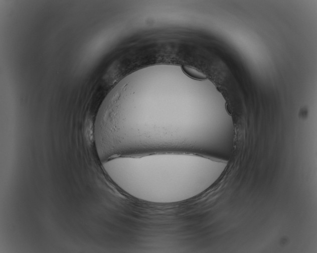 X0000096640479200802051002
