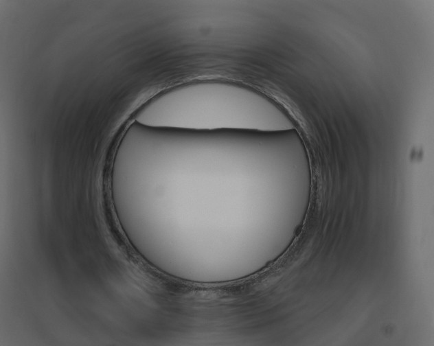 X0000096640482200802051001