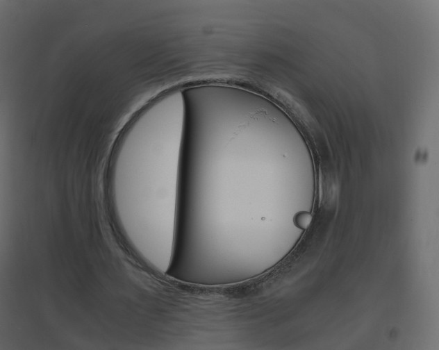 X0000096640483200802051001
