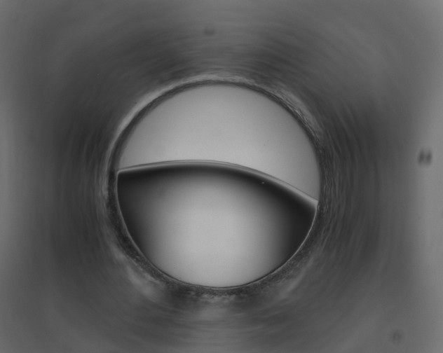 X0000096640484200802051001