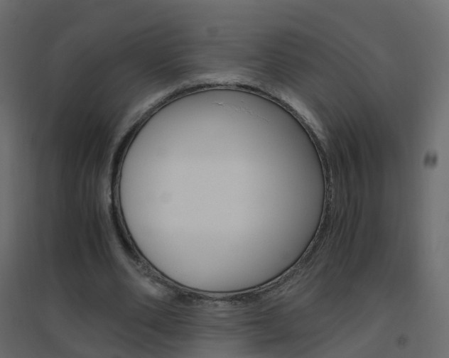 X0000096640486200802051001