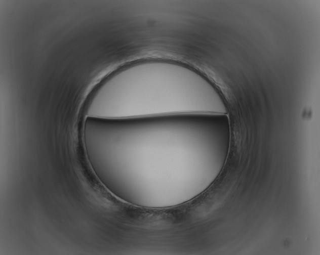 X0000096640488200802051001