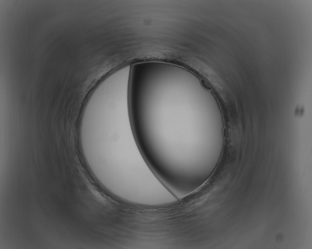 X0000096640489200802051001