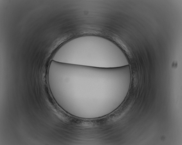 X0000096640490200802051001
