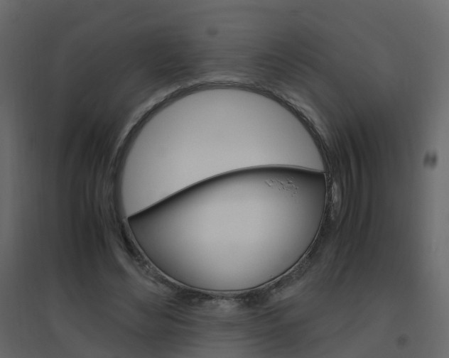 X0000096640492200802051001