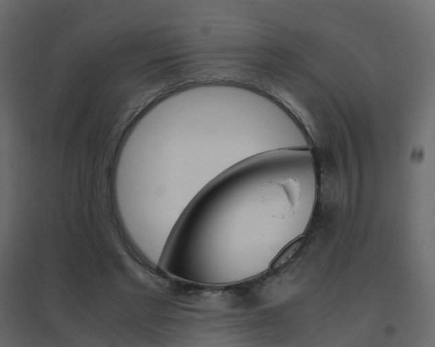 X0000096640493200802051001