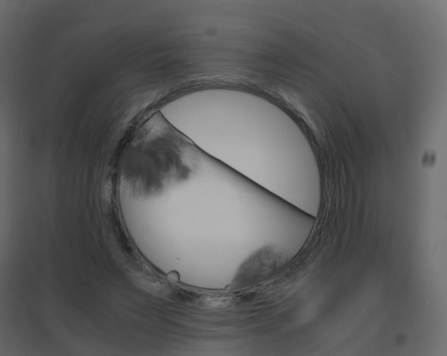 X0000096640495200802051001