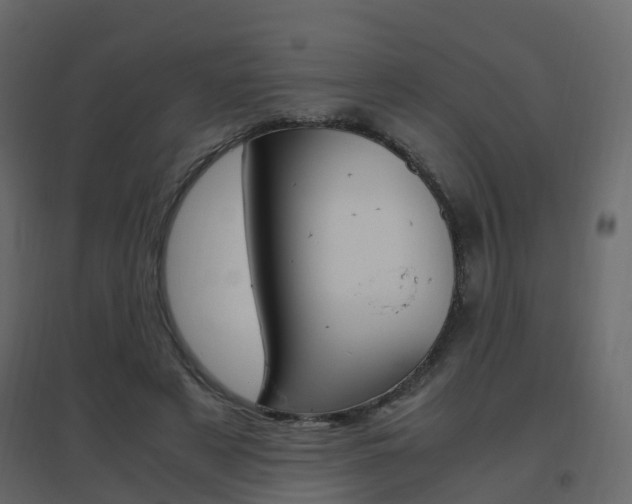 X0000096640497200802051001