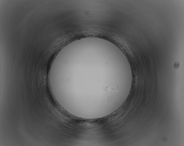 X0000096640498200802051001
