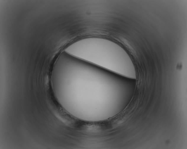 X0000096640500200802051001
