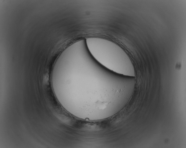 X0000096640502200802051001