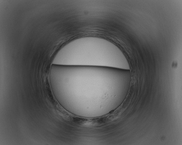 X0000096640504200802051001