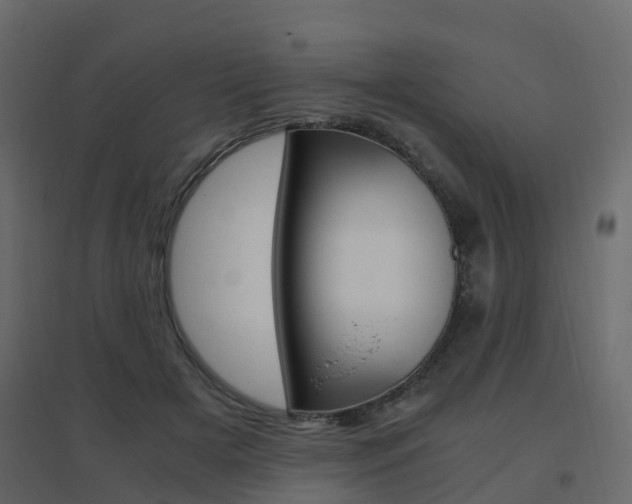 X0000096640505200802051001