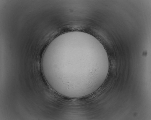 X0000096640506200802051001