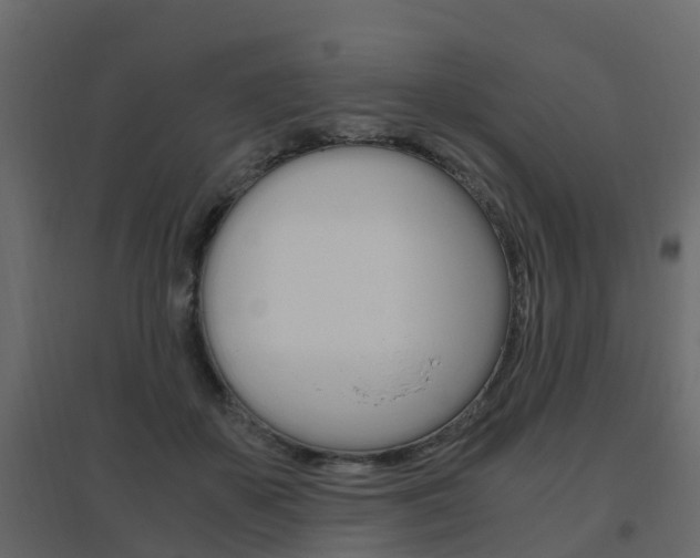 X0000096640507200802051001