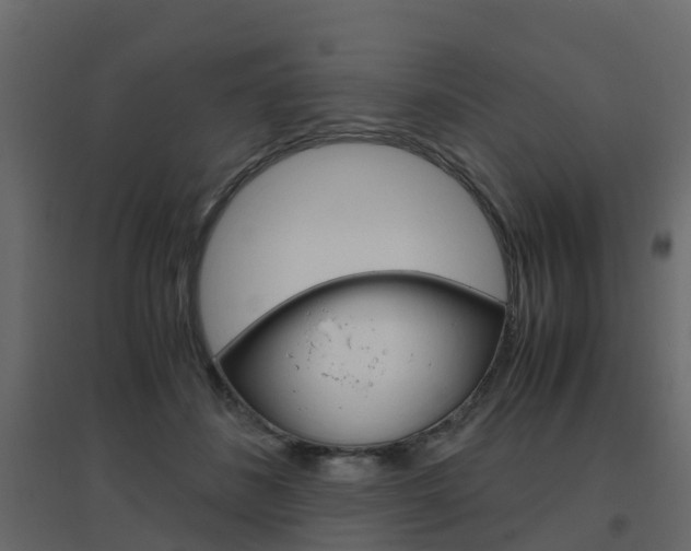X0000096640508200802051001