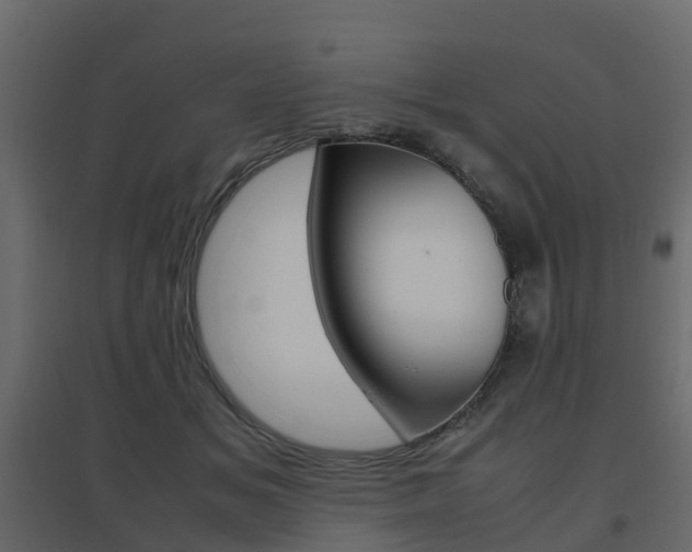 X0000096640509200802051001