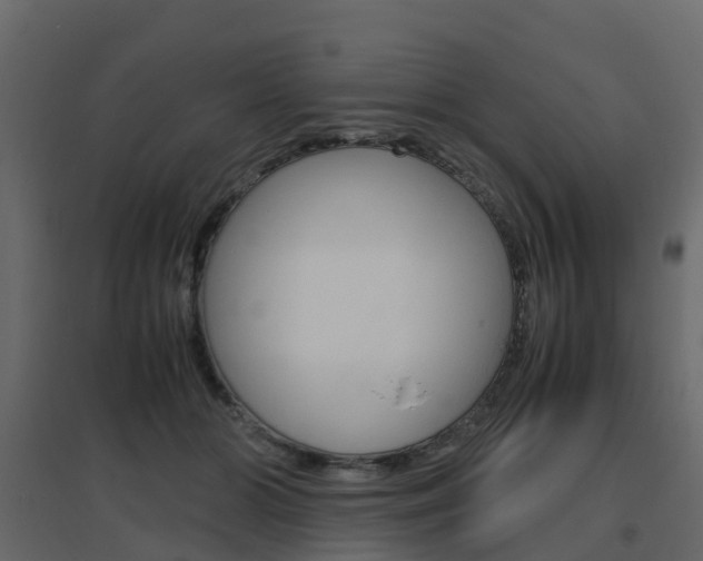 X0000096640510200802051001