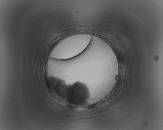 X0000096640511200802051001