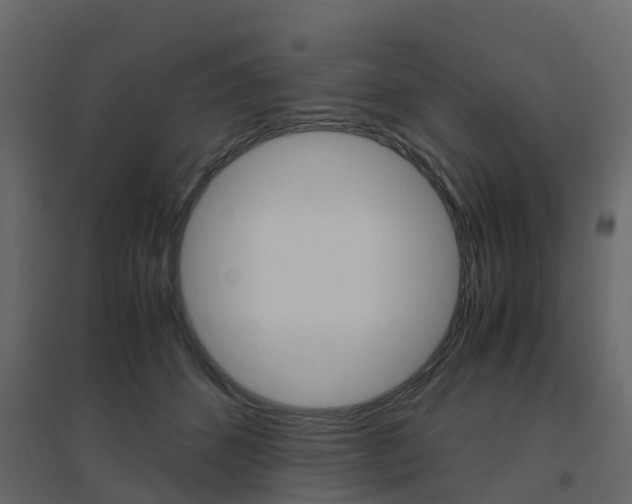X0000096640512200802051001