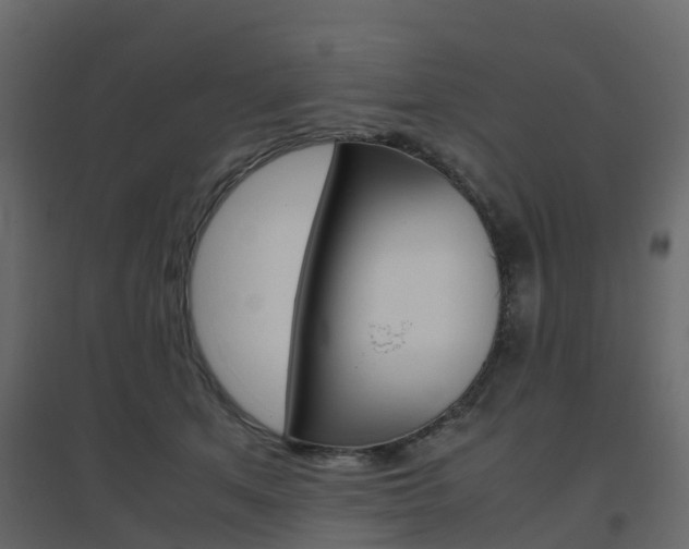 X0000096640513200802051001