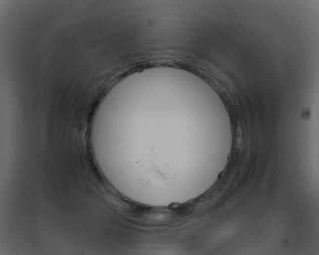 X0000096640514200802051001