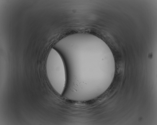 X0000096640515200802051001