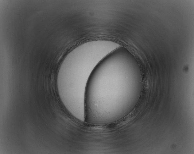 X0000096640516200802051001