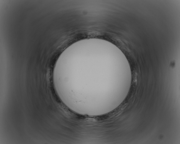 X0000096640519200802051000