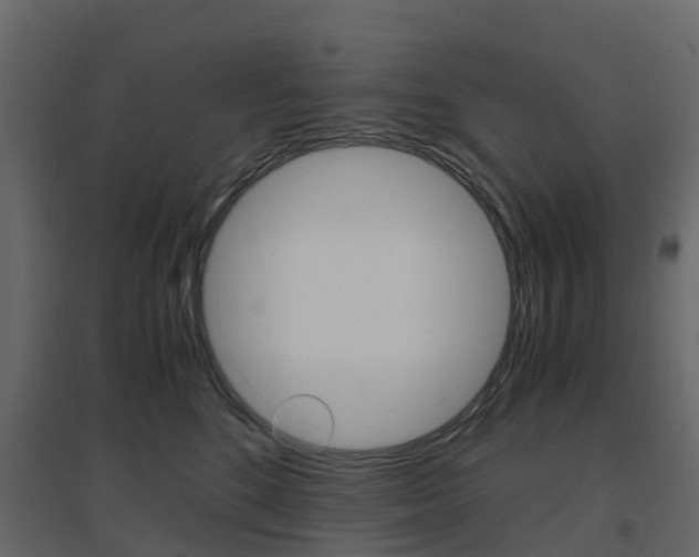 X0000096640520200802051000