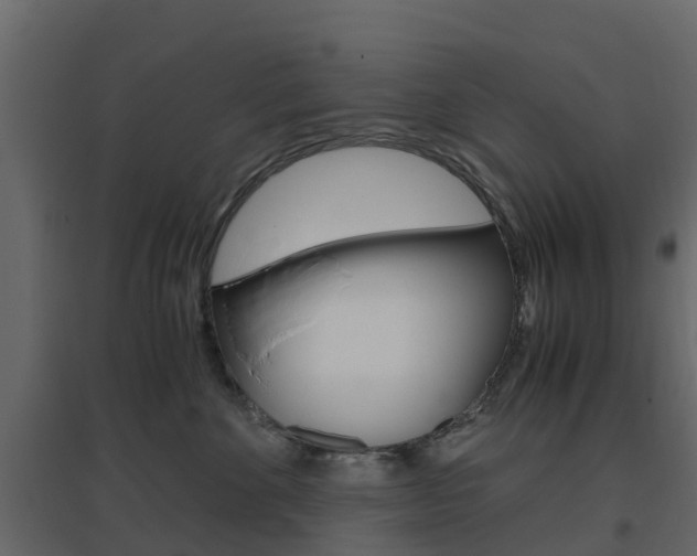 X0000096640524200802051000