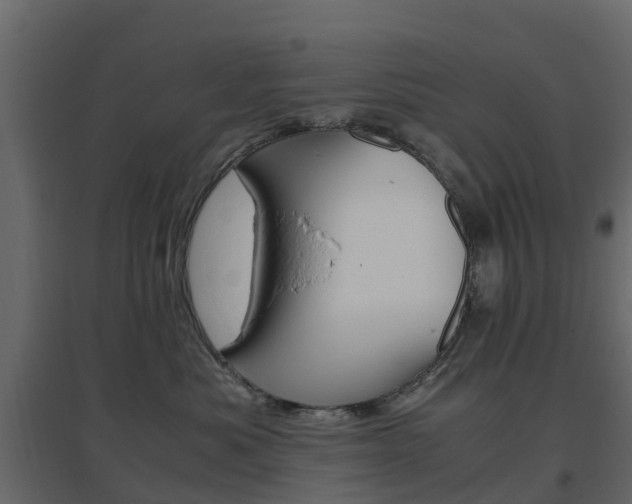 X0000096640525200802051000